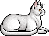 Die WindClan-Chroniken Whiteberry.elder