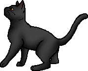 Die WindClan-Chroniken Cinderfur.deputy