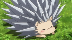 Kyoya's box weapons 250px-Drunken_Hedgehog