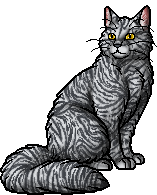 Was ist eure Lieblingskatze aus Warrior cats? Moonflower.warrior