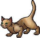 Die WindClan-Chroniken Sandstorm.apprentice