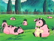 Galletas y leche :D 190px-EP161_Miltank_de_la_granja_%282%29