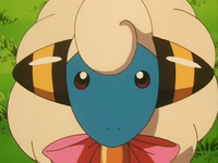 PC de Runo Kurosawa EP141_Mareep_%286%29