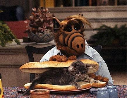 Alf (El Topic) Cat_sandwich