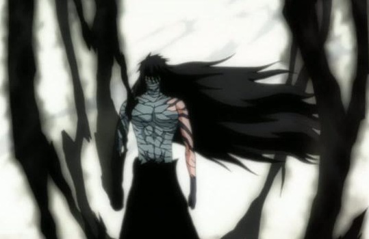 Para Magnolia Straßen 3 Ichigo_Final_Getsuga