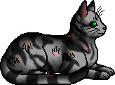 ShadowClan (Clã das Sombras)-construção Archeye.elder