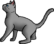 WindClan (Clã do Vento) Ashfoot.deputy