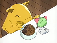 Tarea N3: Juzgado EP423_Drowzee_y_Ralts_comiendo