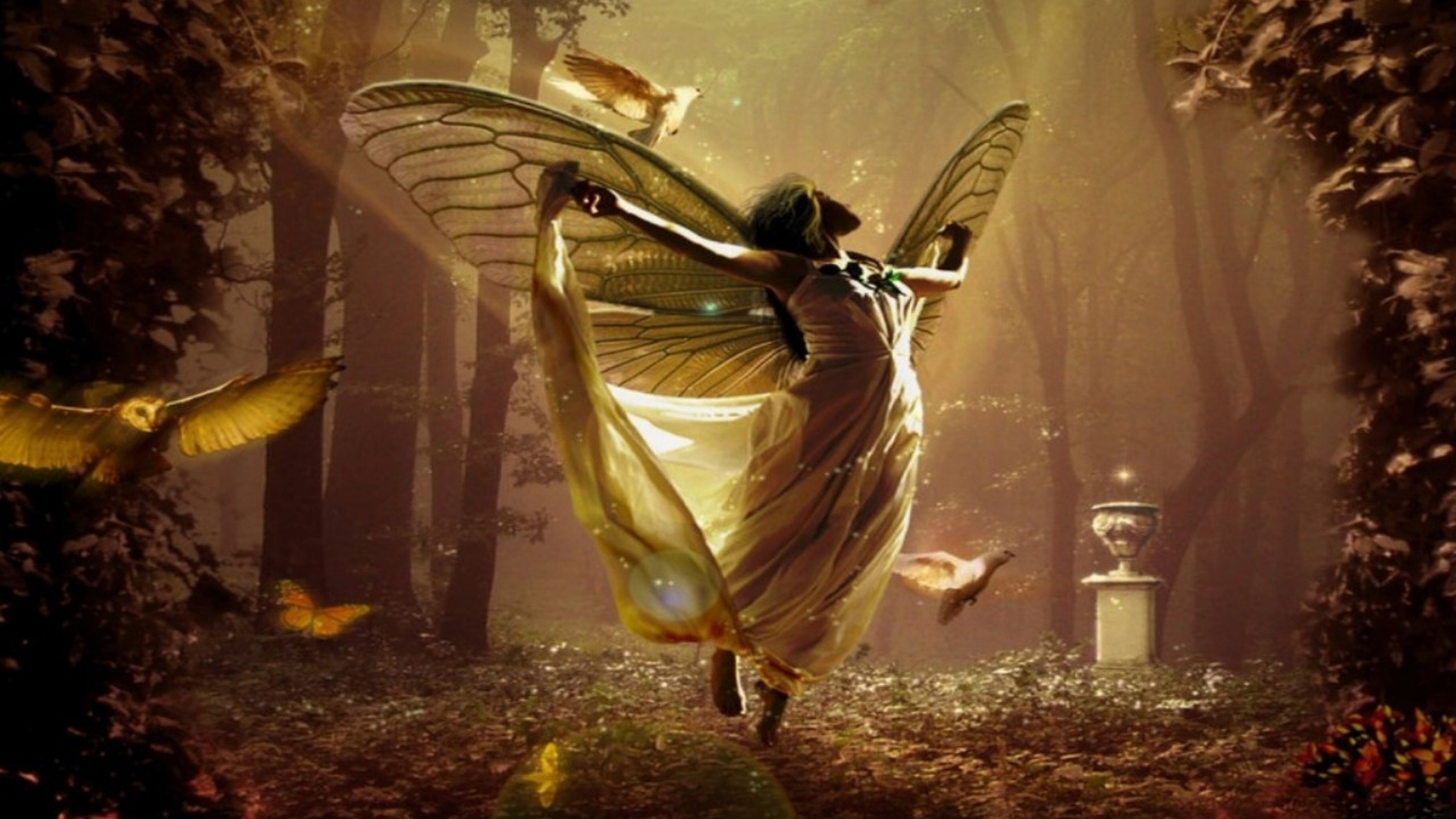 ~ Faerie's Wish ~ - Seite 2 146875