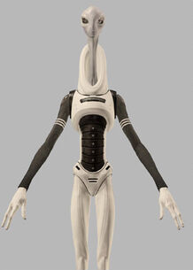 Kamino             218px-Kaminoan