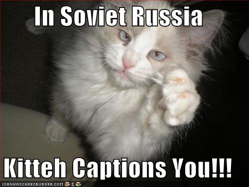 FUNNY PICTURES!! Funny-pictures-kitteh-captions-you