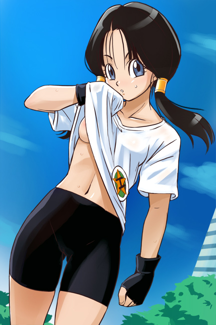 Sexy Dragon Ball Fan-Art Videl