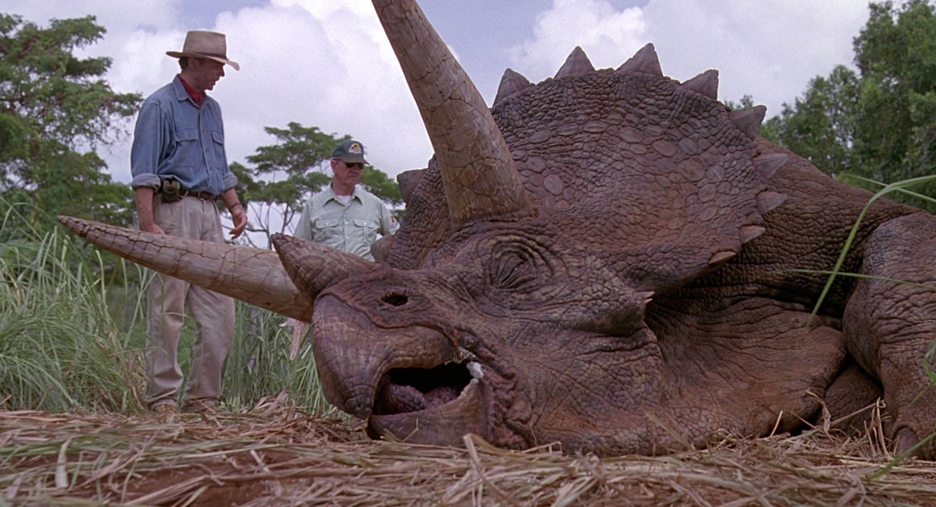 Triceratops horridus Triceratops