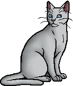 Die WindClan-Chroniken Willowpelt.warrior