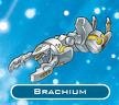Inscrição nos Vexos Brachium_Trap
