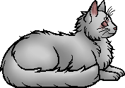 Die WindClan-Chroniken One-eye.elder