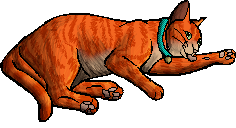 Die WindClan-Chroniken Jake.kittypet