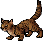 Die WindClan-Chroniken Heavystep.apprentice