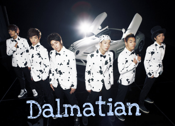 Dalmatian(DMTN) >> Single "Safety Zone" 20ib9xu