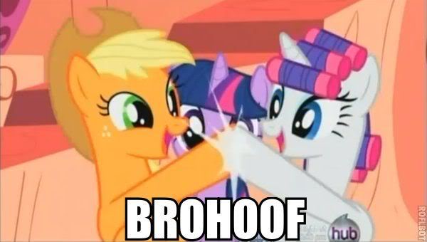 My Little Pony Friendship Is Magic Brohoof