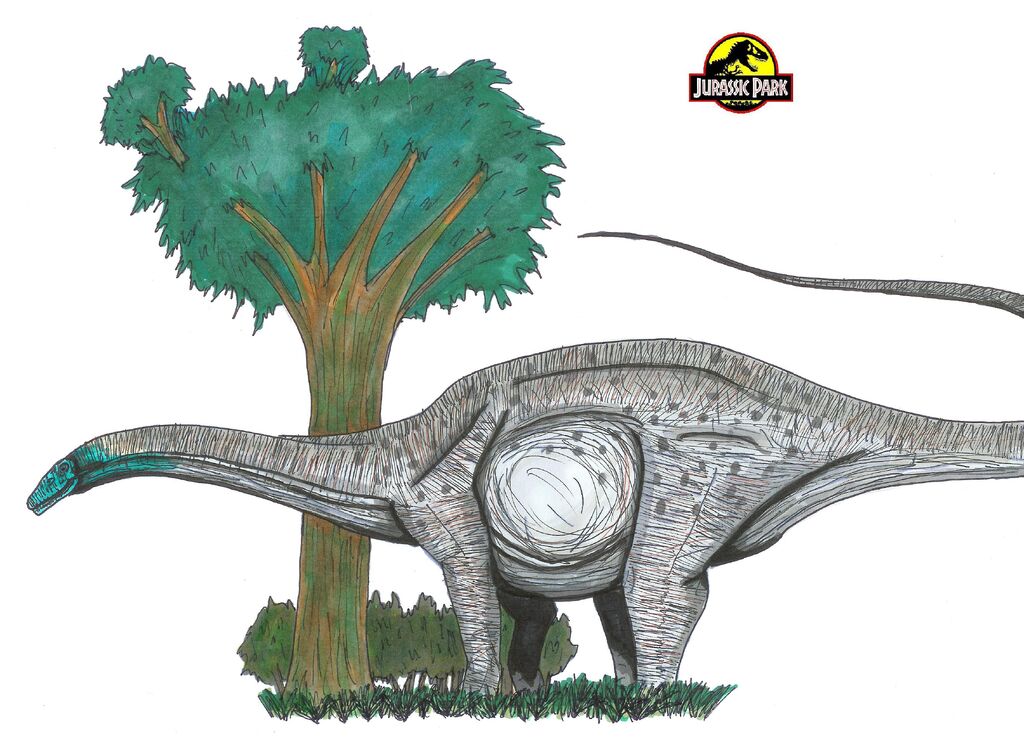 Apatosaurus excelsus 1024px-Jurassic_Park_Apatosaurus_by_hellraptor
