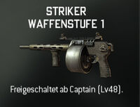 MW3 Akademie: Waffen - Schrotflinten 200px-Striker