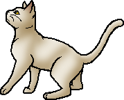 WindClan (Clã do Vento) Milkfur_%28WC%29.deputy