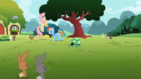 Imagens do Tank 201px-Rainbow_Dash_go_away_tortoise_S2E7