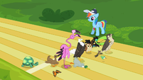 Imagens do Tank 201px-Rainbow_Dash_and_animals_S2E07