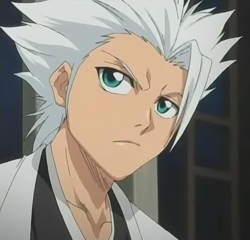 aktuele Ränge Hitsugaya_3