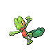 Laboratorio Pokemon Treecko_DP