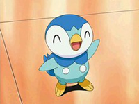 adventures in sinnoh EP490_Piplup_de_Maya