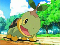 pokemon aventuras em sinnoh EP500_Turtwig_de_Gardenia