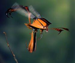 Zwierzęta Pandory 250px-Hellfirewasp