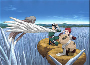 Rock Lee Fan Club Kimimaro_vs_Gaara_Rock_Lee