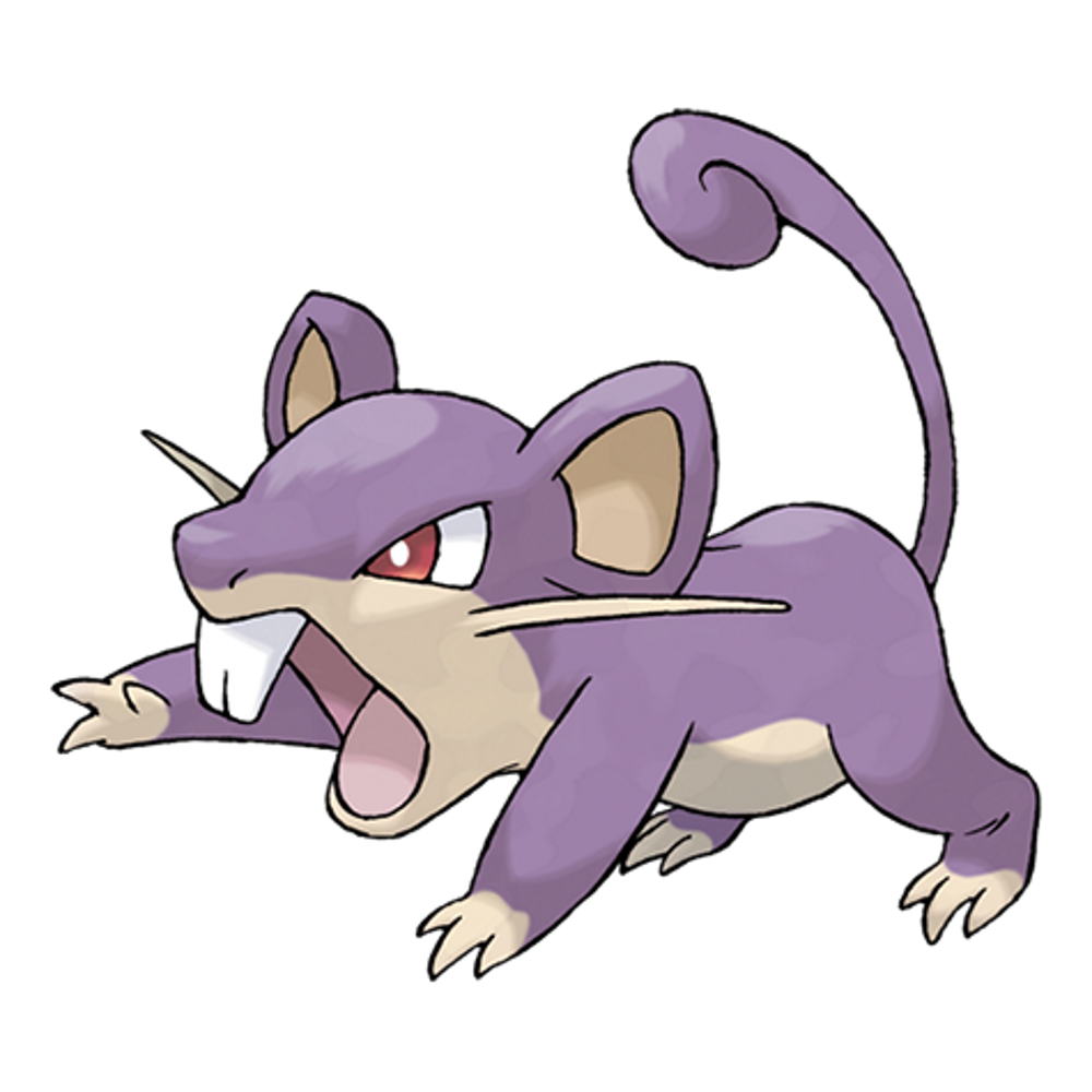 It's a bird... It's a plane..! Rattata