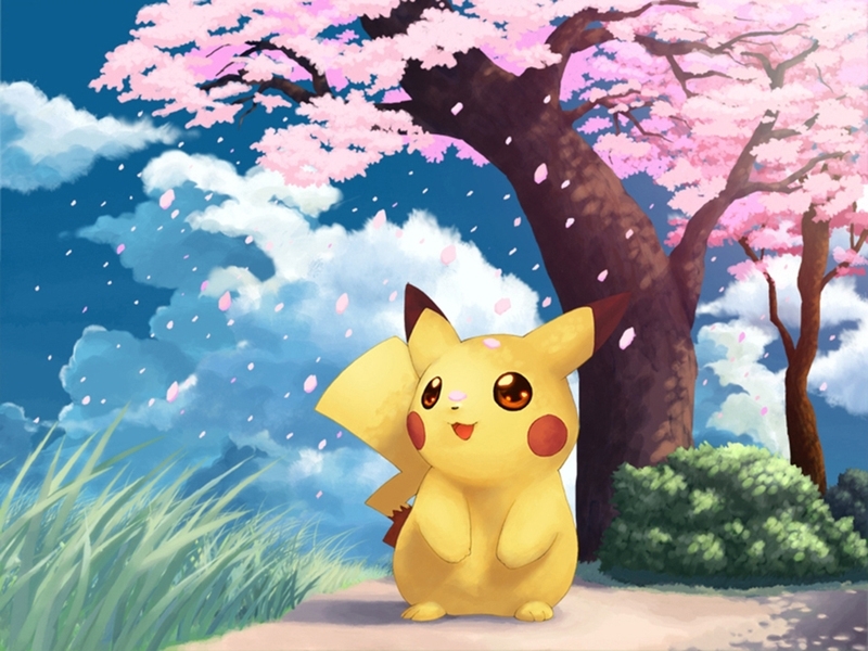 بيكآتشو ..ْ بيكآ بيكآ ..ْ  Pikachu-and-Cherry-Blossoms-pikachu-14961318-800-600