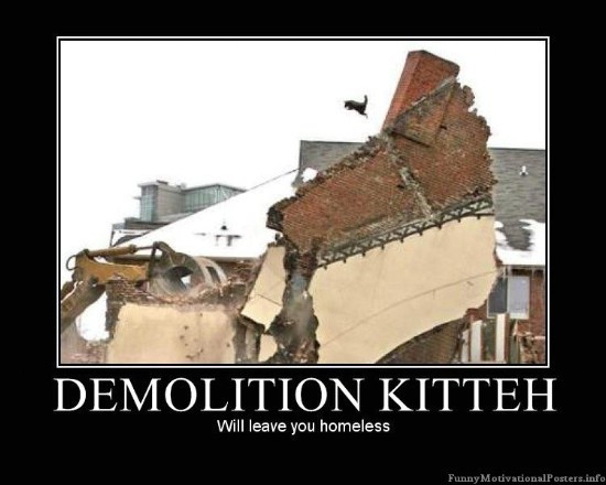 Une nouvelle ! - Page 2 Demolition-Kitteh-random-16467485-550-440