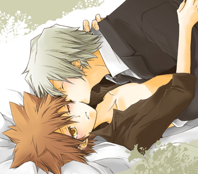 Kiss me Para Romanticos imagenes - Página 7 Tsuna-and-Gokudera-yaoi-16530602-660-580