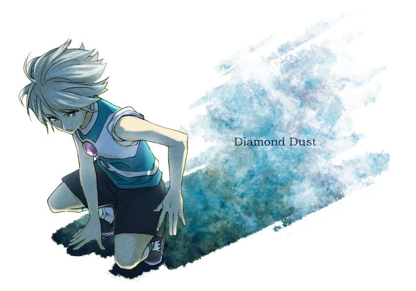 .:::::::::::صور لابطال الكره:::::::::::::. Diamond-Dust-inazuma-eleven-16606038-850-594