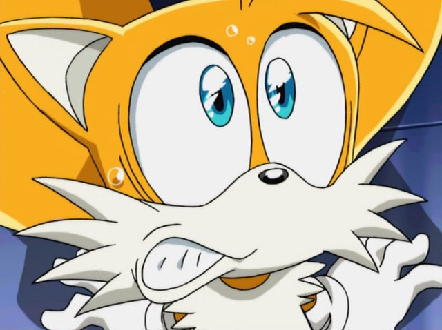 [Archive] Clichés de Tails Tails-needs-help-miles-tails-prower-16952075-640-479