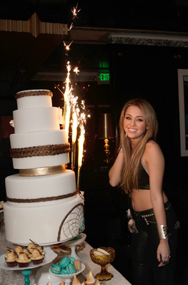 Miley Curys Miley-s-18th-Birthday-Party-miley-cyrus-17182291-263-400