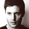 ❃Il faut de tout pour faire un monde▐ Liens de Cheryl L.L. Jensen-A-3-jensen-ackles-17656115-100-100