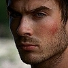 The Black Panther || Cath Links  Ian-ian-somerhalder-18670737-100-100