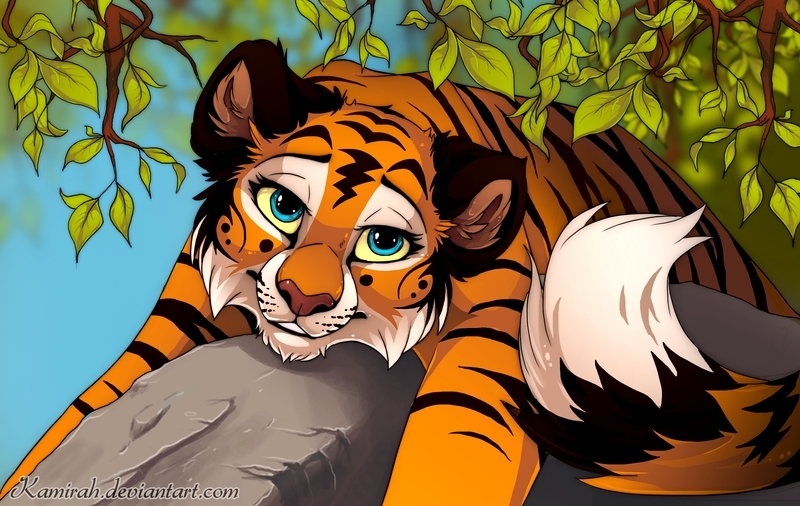 Lion/Tiger Rp - Page 14 Anime-cats-anime-big-cats-19032409-800-506