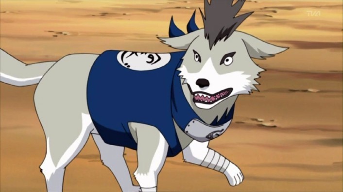 Algunas invocaiones Shiba-naruto-shippuuden-19172656-706-397