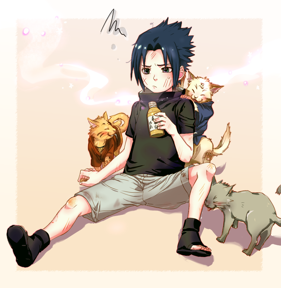 Per molts d'anys, Wely!  Sasuke-Is-The-Best-naruto-shippuuden-sasuke-lovers-20138266-960-984