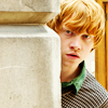 MINERVA - Elle est belle comme un accident de bagnole  Ron-3-ronald-weasley-20692215-100-100