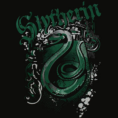 Baúl de Albus Slytherin-FTW-gryffindor-vs-slytherin-22045327-400-400