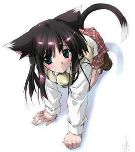 Yuki Tachibana Anime-Cat-Girl-destinygirl-22922011-267-300